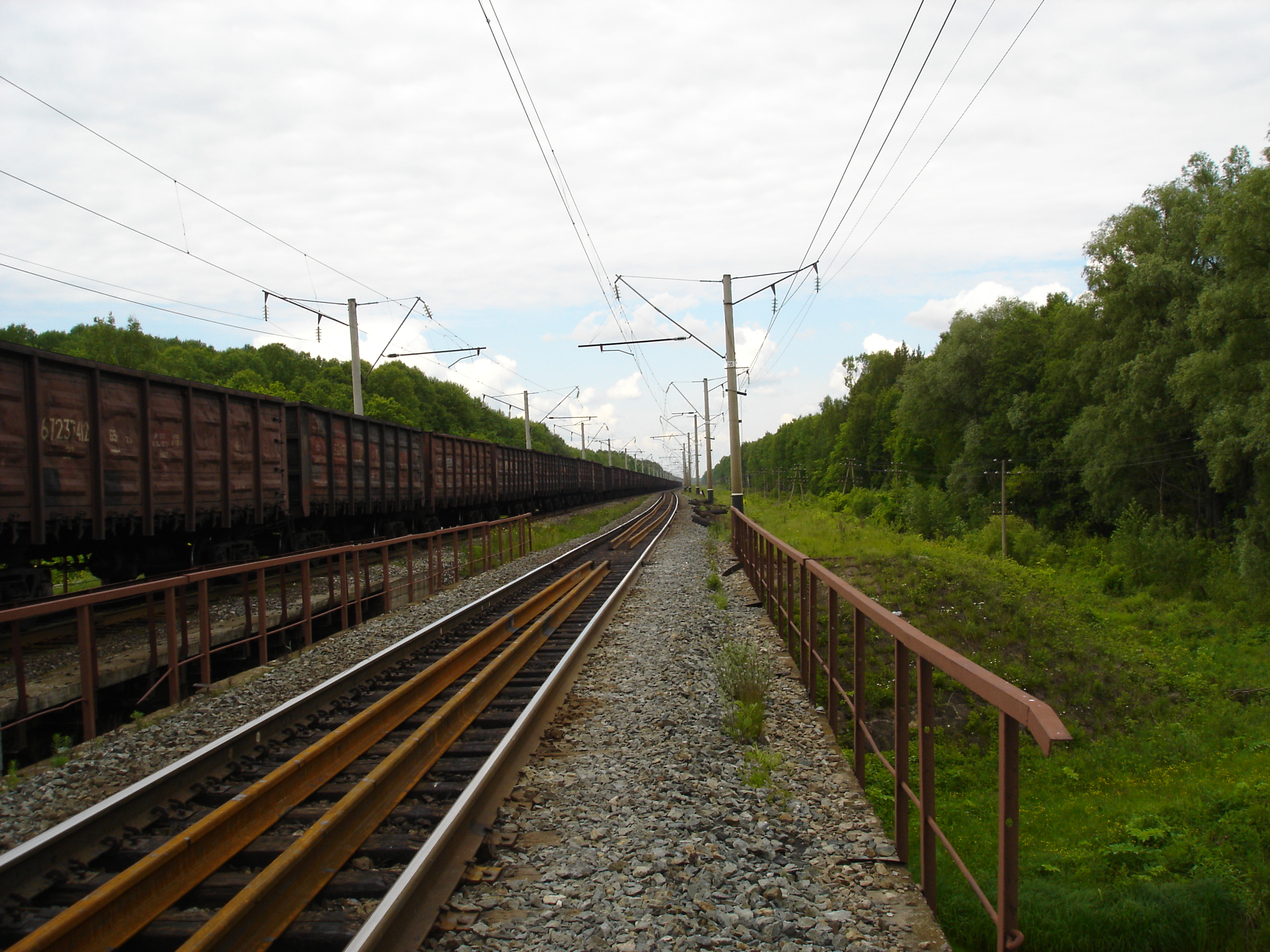 На территории Красночетайского района проведена проверка содержания зоны защиты вдоль железной дороги «Москва – Казань»